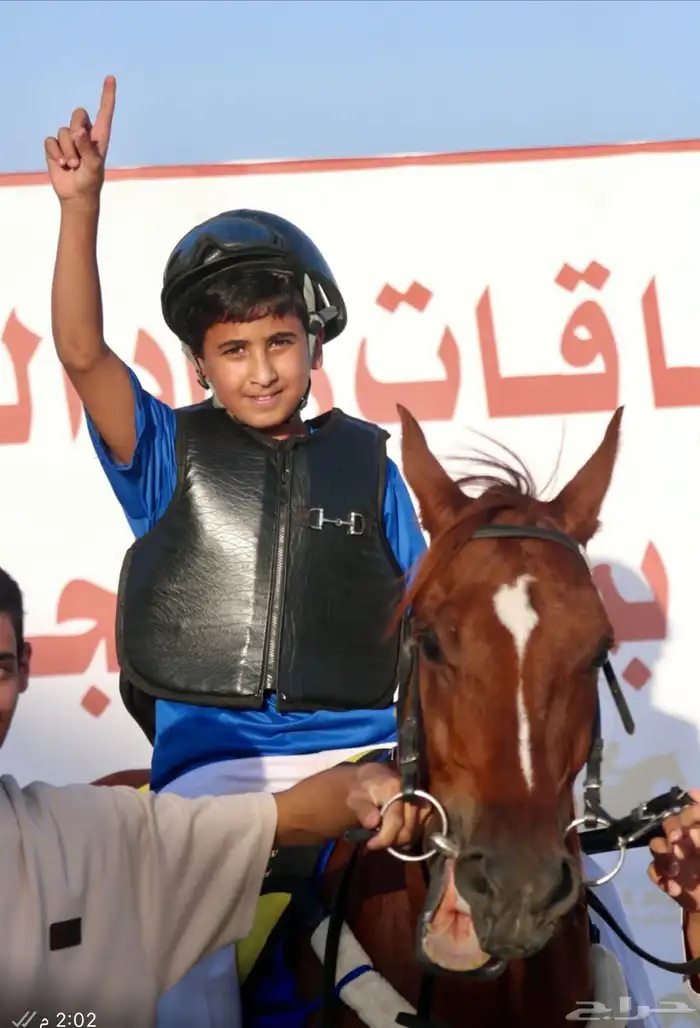 حصان واهو فرنسي سبوق 0