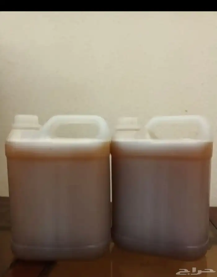 عسل السدر البلدي 0