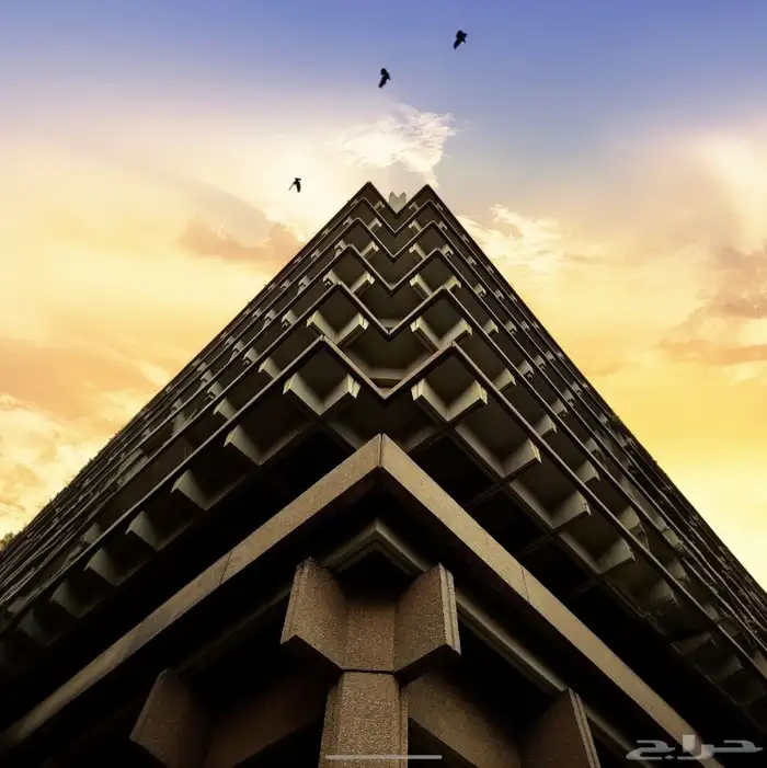 شاومي 12 تي برو افضل جوال تصوير 256 قيقا 5