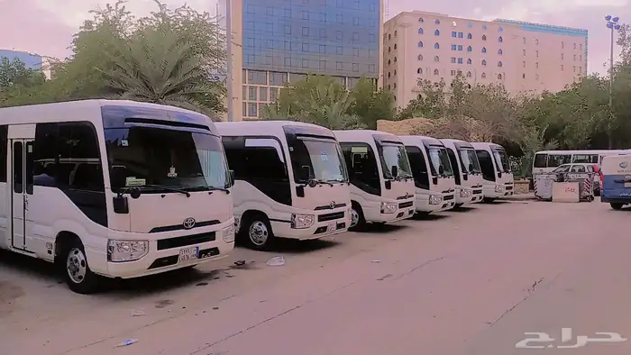 There are stones a head a school a restaurant an airport and 13