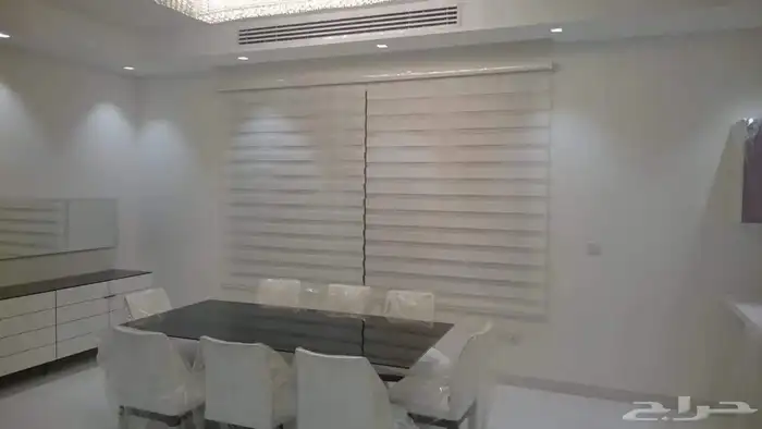 ستاير الزيبرا 5