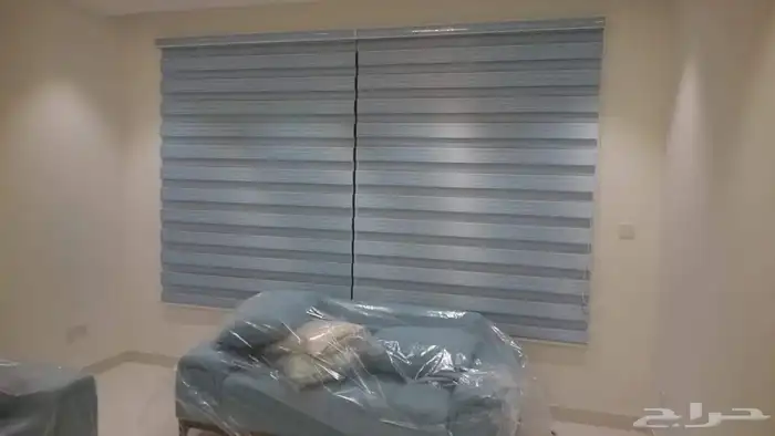 ستاير الزيبرا 2