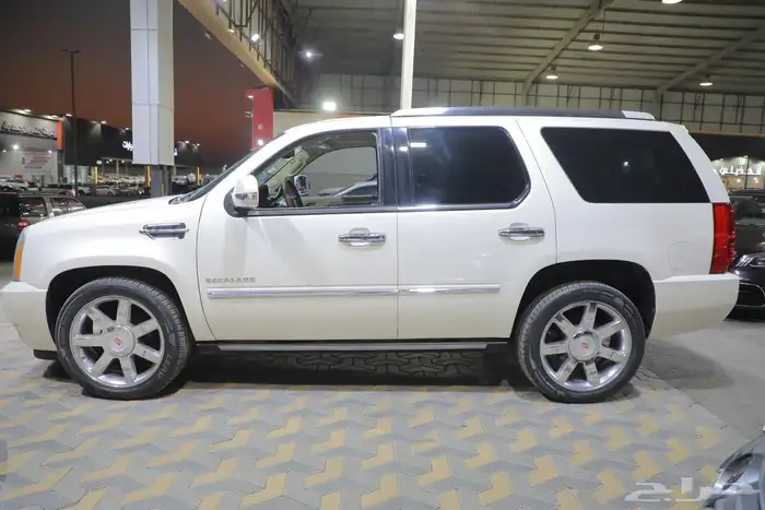 اسكاليد 2014 بدي وكاله سعودي 7