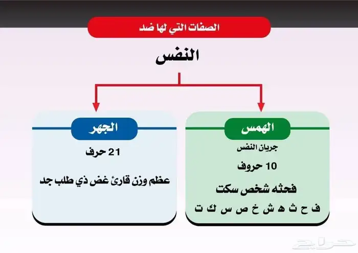 معلم تأسيس وقرآن ونور البيان وتجويد للأطفال وكبار السن 0