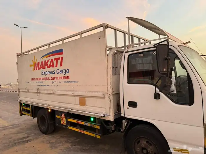 دينه ايسوزو 2008 3