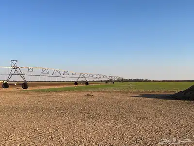 للبيع مزرعة في القرنه index