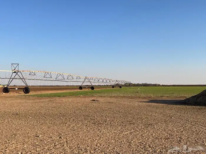 للبيع مزرعة في القرنه 1