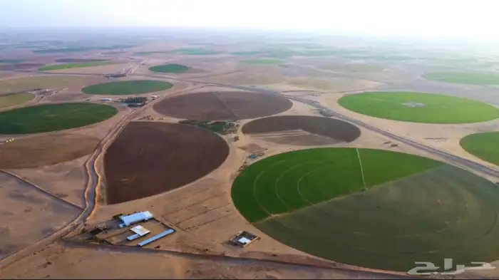 مصور جوي احترافي درون بدقة عالية 5k بأسعار ترضي الجميع 6