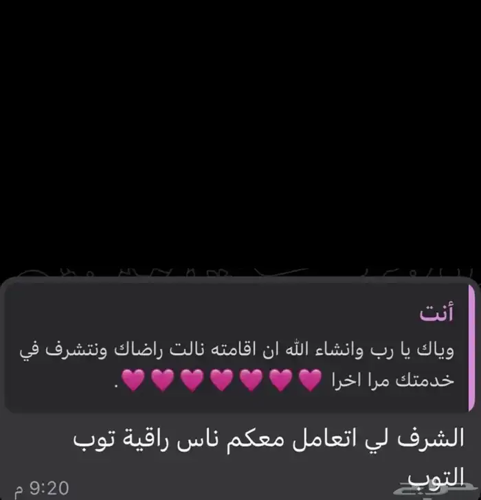 فندقة قطط ومعالجة 9