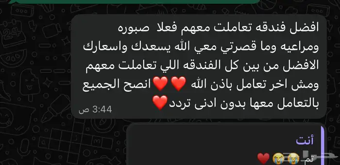 فندقه قطط الطائف 0