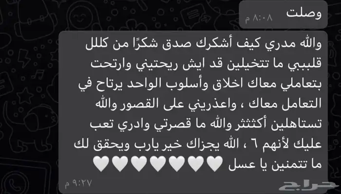 فندقه قطط الطائف 1