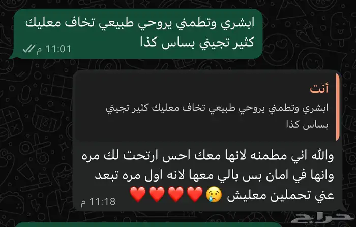 فندقه قطط الطائف 2