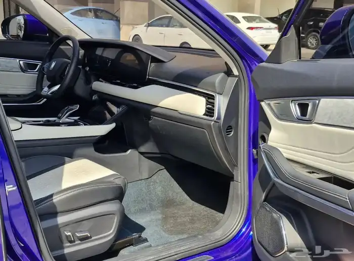 فاو بيستون 2022 T99 12