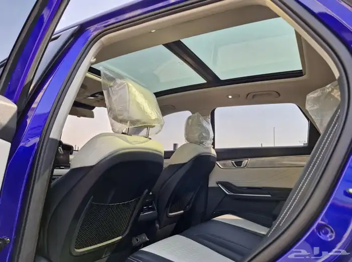 فاو بيستون 2022 T99 11