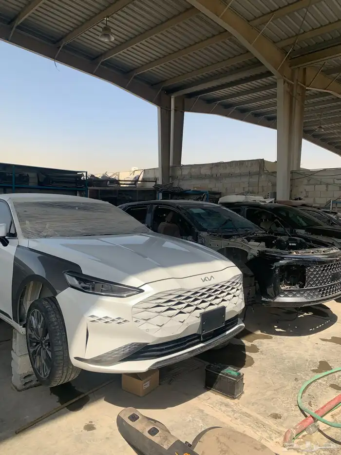 تشاليح السلي 0