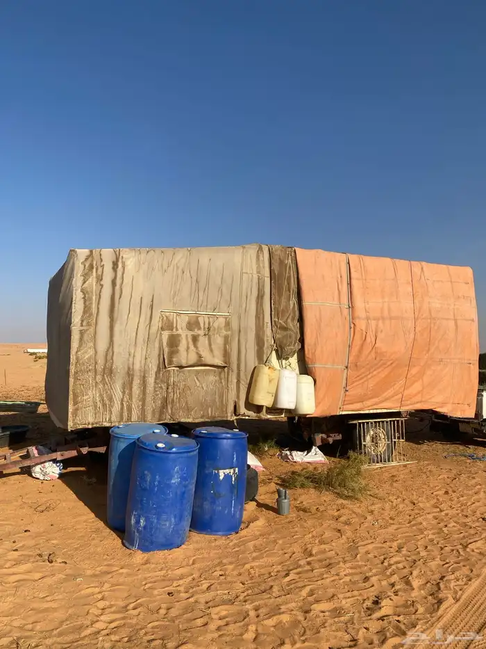 ابل للبيع 24