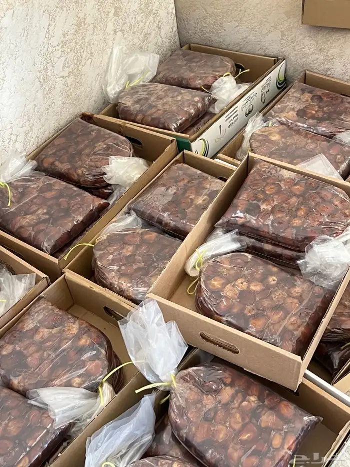 تمر سكري فاخر 4