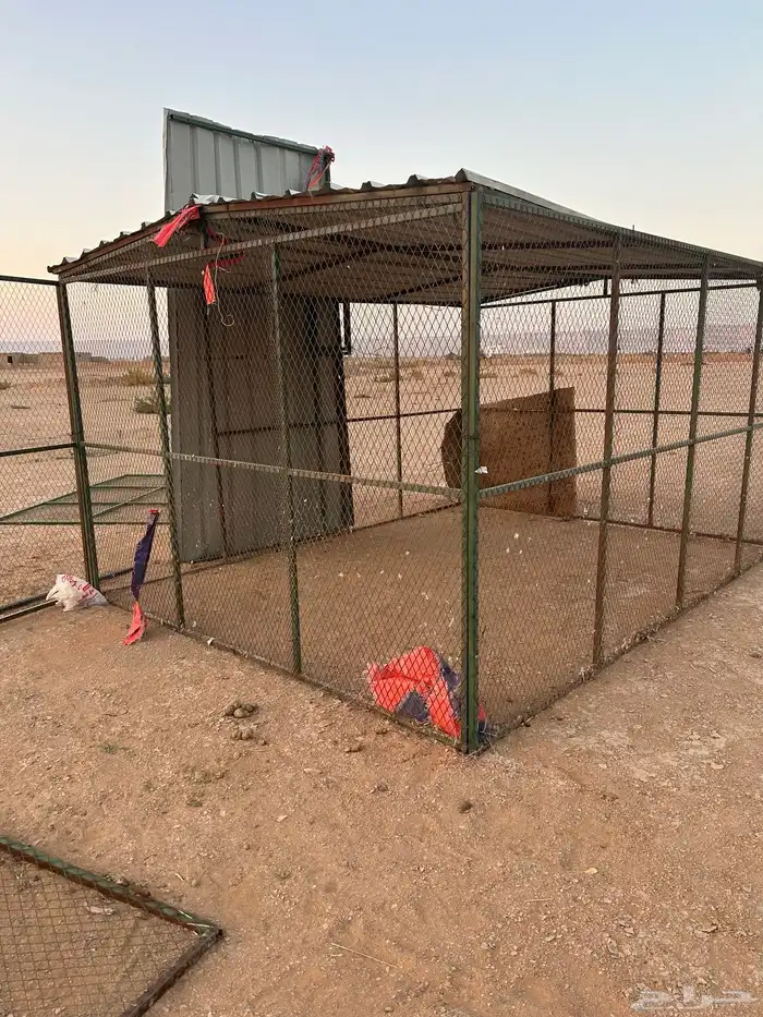 عشه بقلاوه ضرما 2