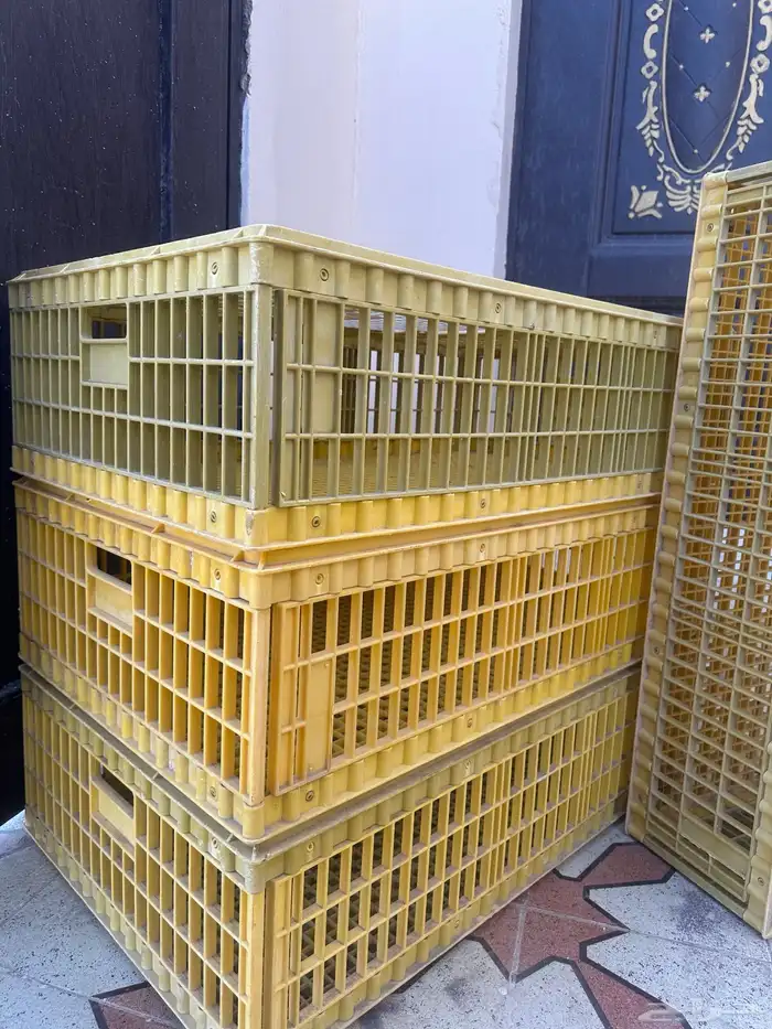 للايجار اقفاص دواجن وارانب ودجاج 1