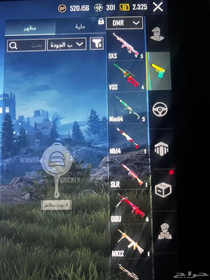 حساب ببجي للبيع 10