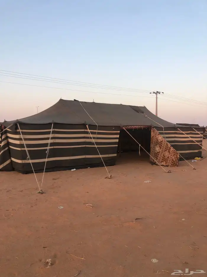 بينت مستخدم 6 في   14 تقريب ا 1