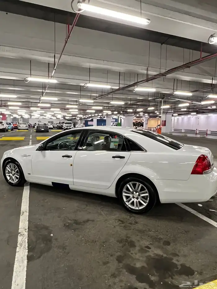 كابرس 2013 LS 12