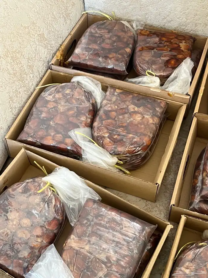 تمر سكري فاخر 3