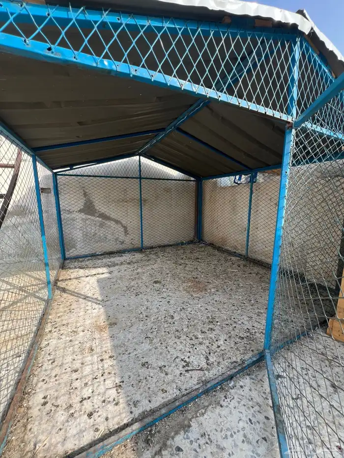 للبيع شبك للحمام 3