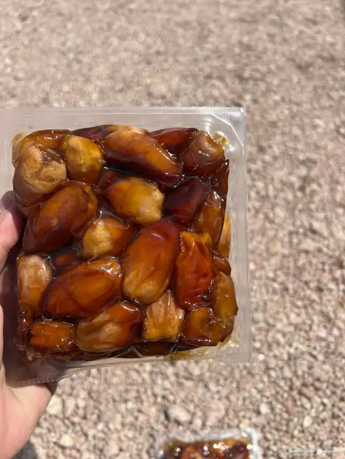 تمر خلع نظيف ومشروط انتاج بريم السليل 1