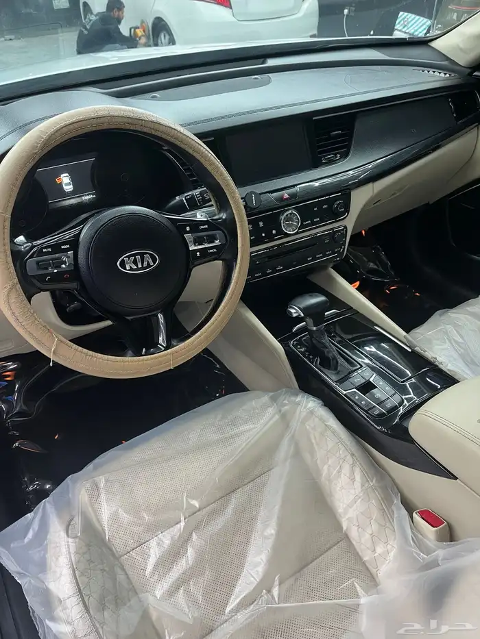 كادينزا فل 2017 17