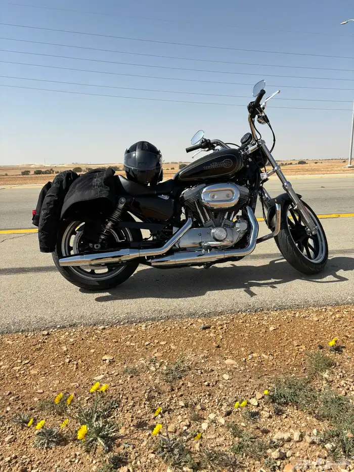 Harley Sportster 883 هارلي سبورتستر 0