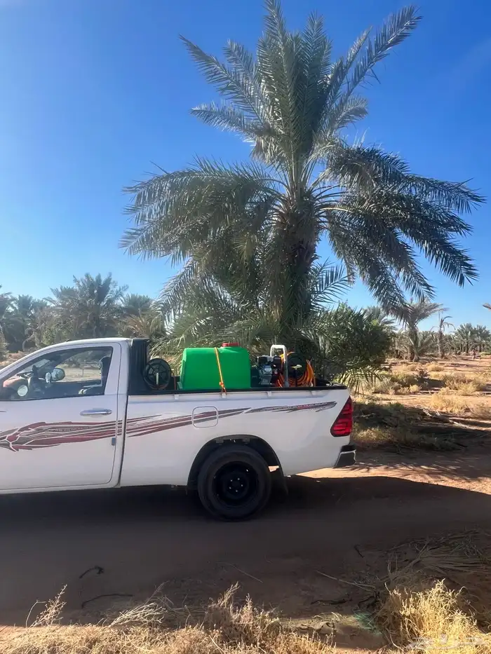 رش النخيل بجميع انواع المبيدات 1