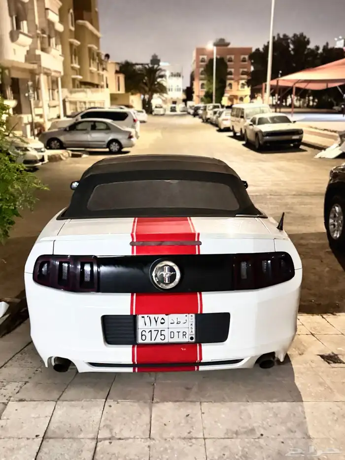 Mustang 1