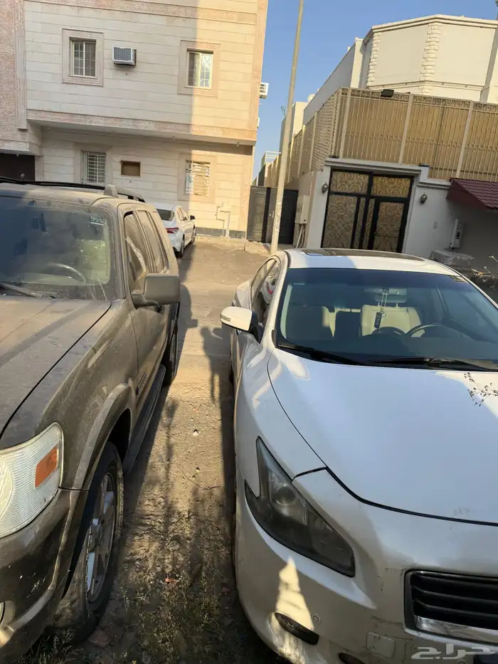 مكسيما للبيع موديل 2012 0