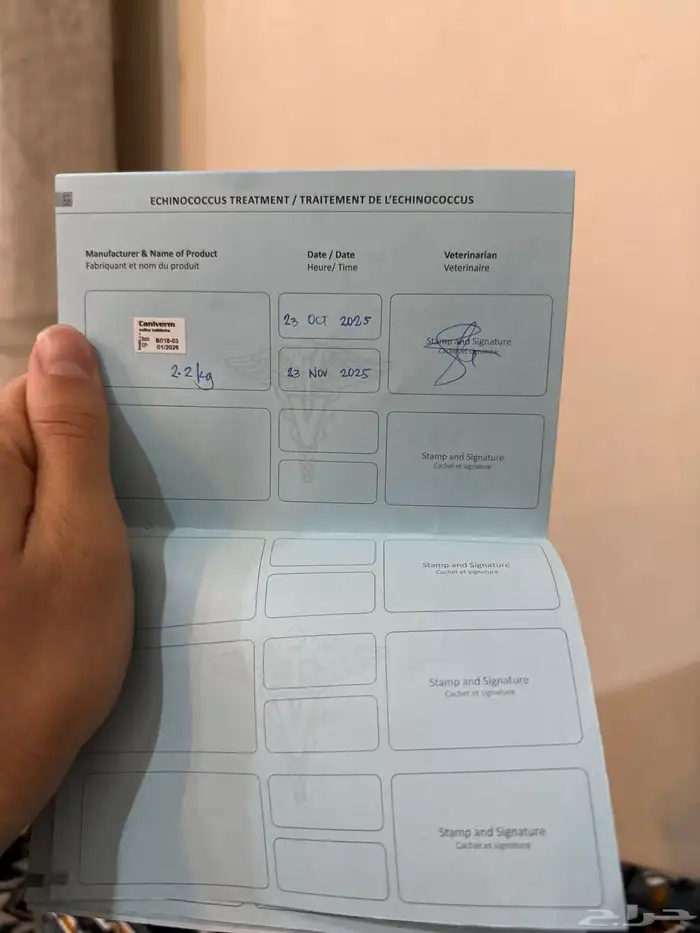 البيع قطط سكوتش 4