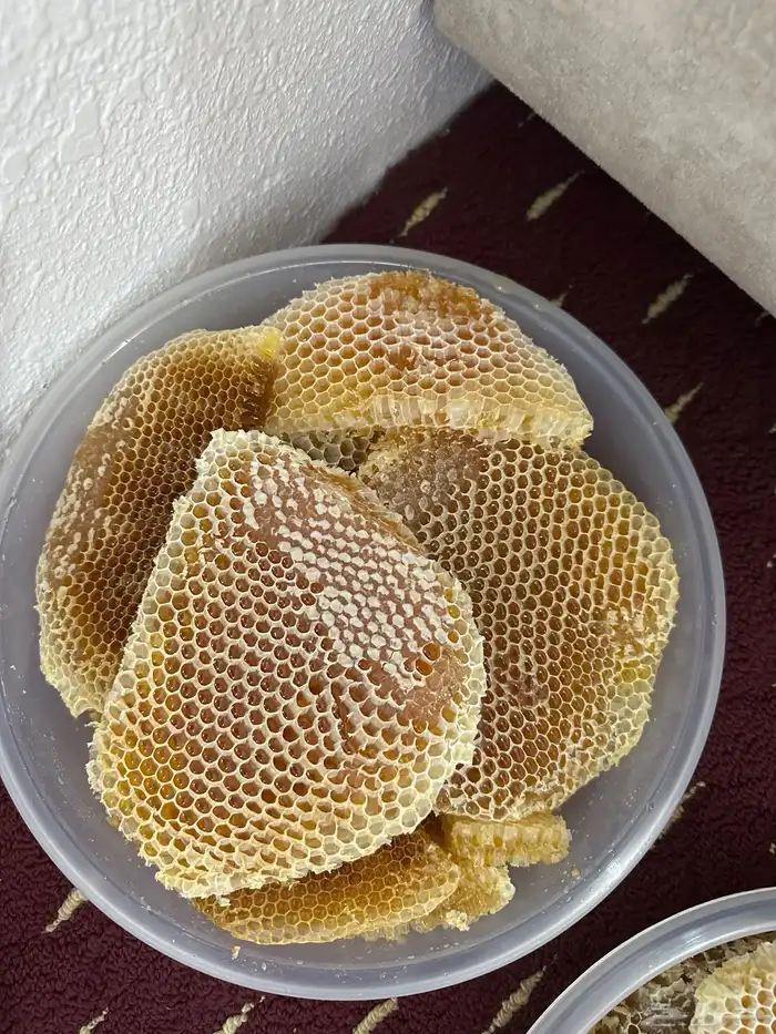 عسل سدر لهذا العام تاريخ1447 5 18 2