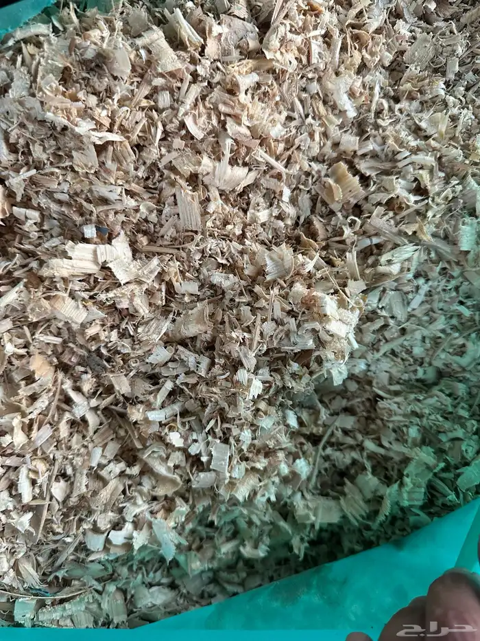 نشارة دواجن وخيل 2