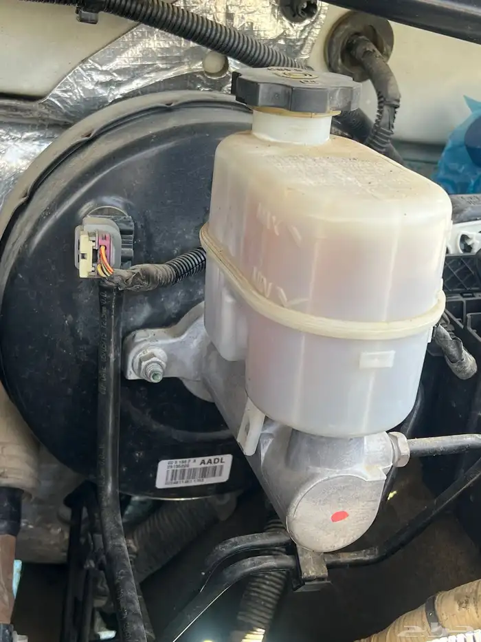 تاهو مخزن . الجميح .2015 31