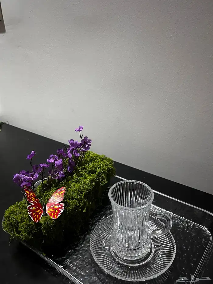 كل الي معروض للبيع 2