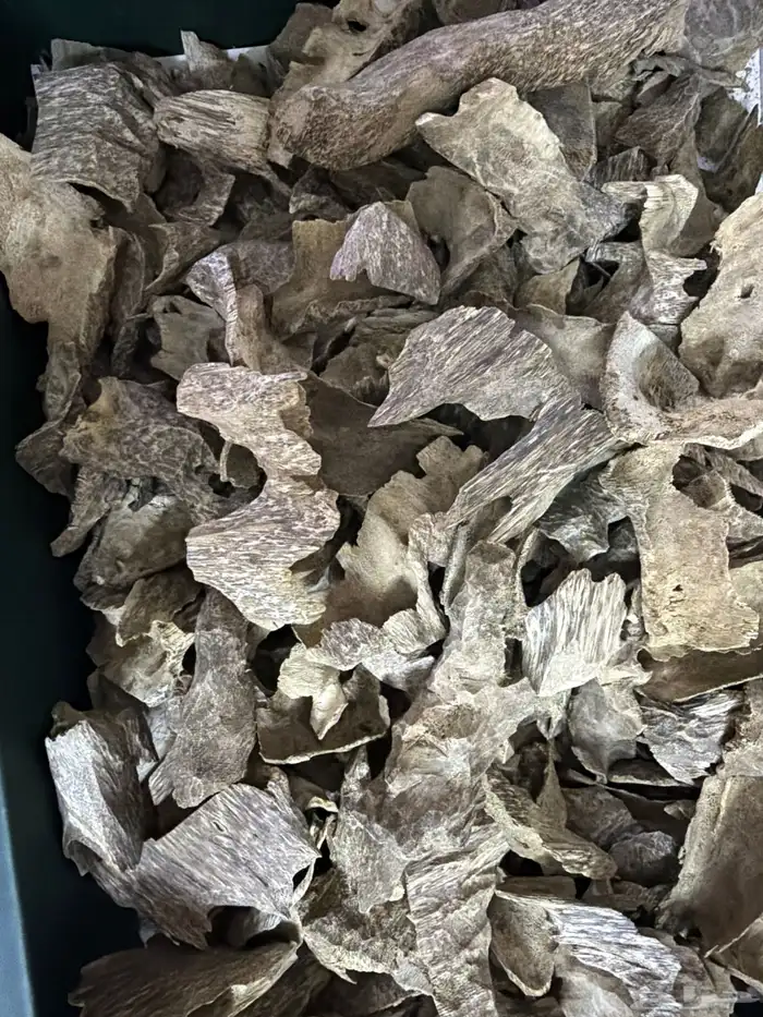 عود ترات تايلاندي 0