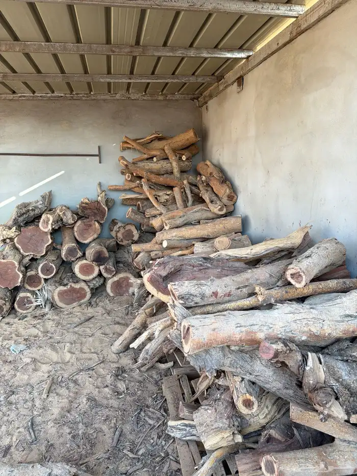 حطب سمر شرط 0