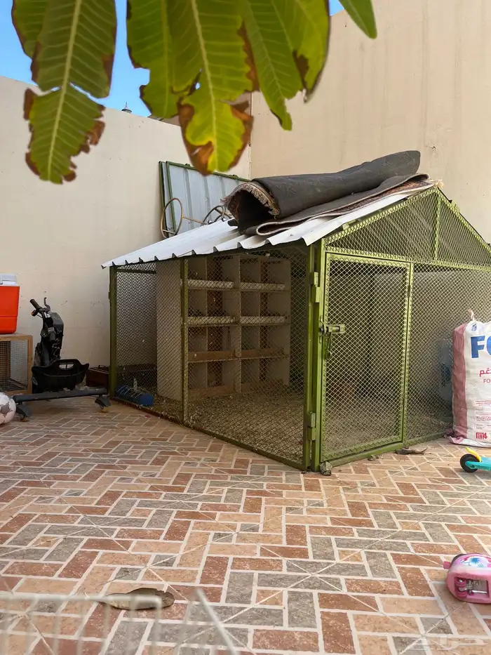 شبك بقلاوه نظيف جدا ( مترين   متر وسبعين   ارتفاع متر و 35 0