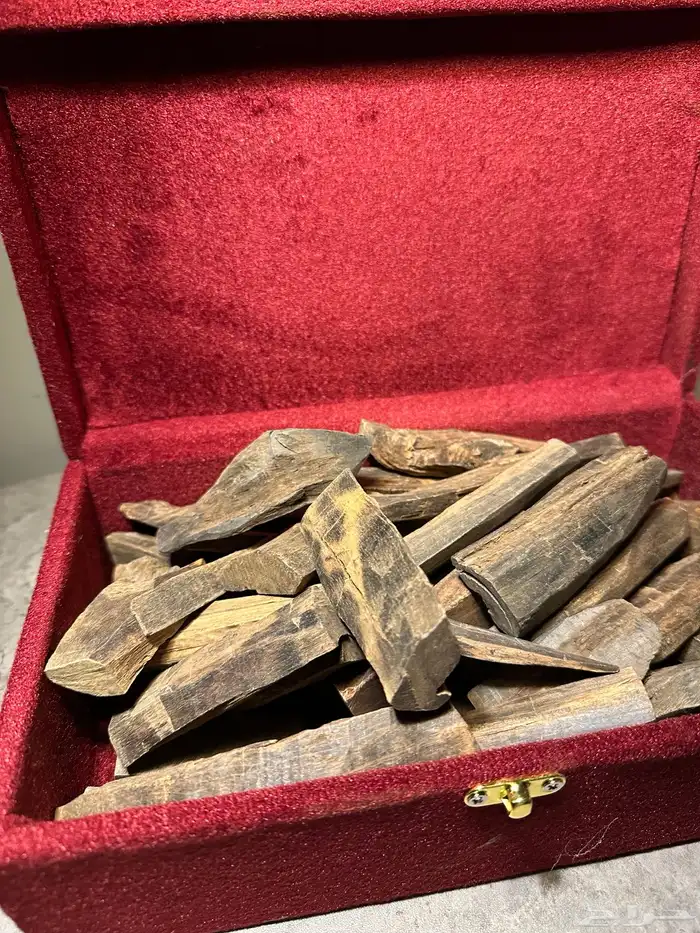 عود صندل طبيعي بسعر مميز في بيشة 1