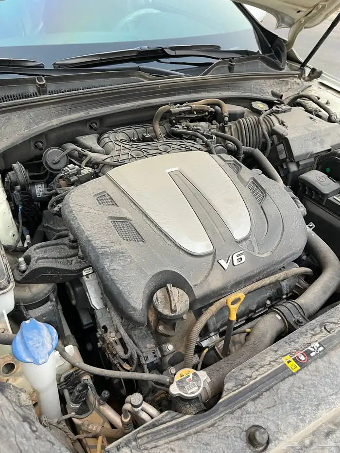 كيا كادينزا 2018 شبه الاصفار 83