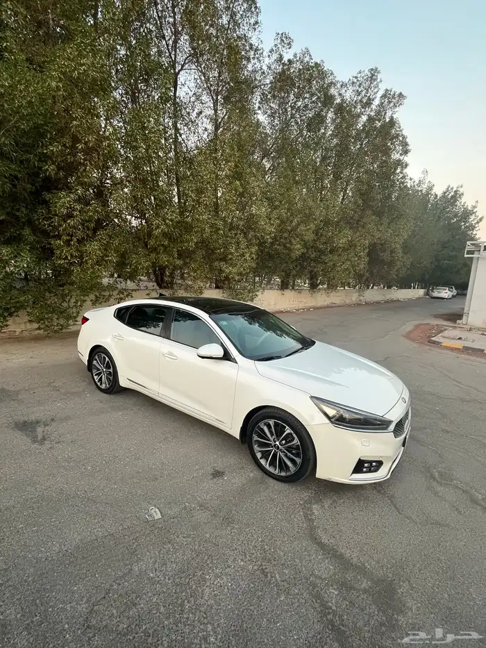 كادينزا فل 2017 12