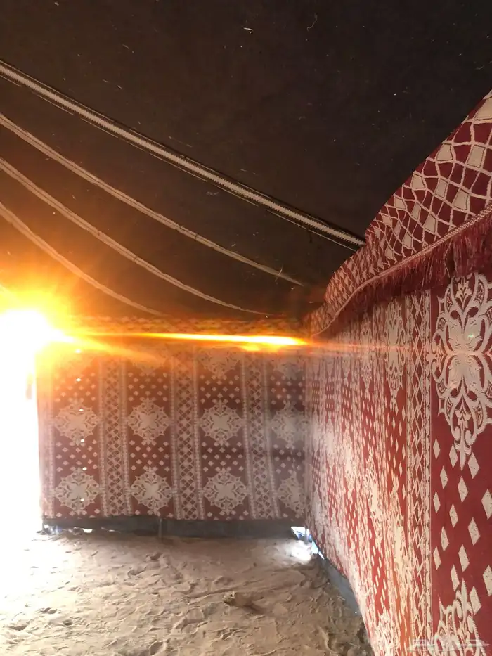 بينت مستخدم 6 في   14 تقريب ا 3