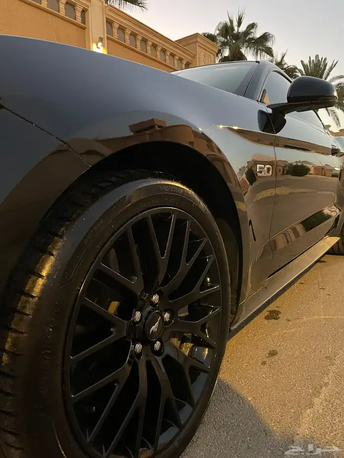 موستنج برفورمنس بكج V8 5.0 2016 6