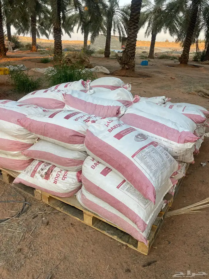 تمر علف غنم 0