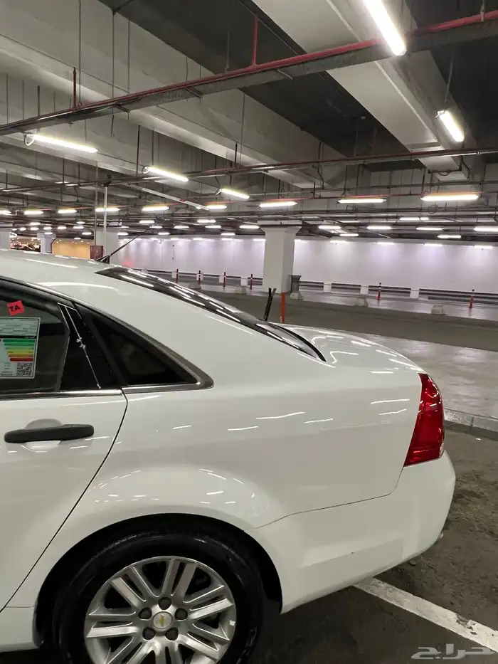 كابرس 2013 LS 14