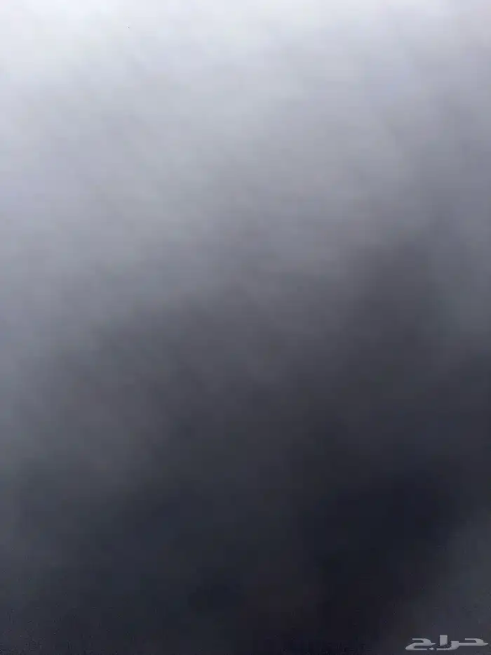 احتاج كلب للتبني   كلب حراسة للمزرعه 0